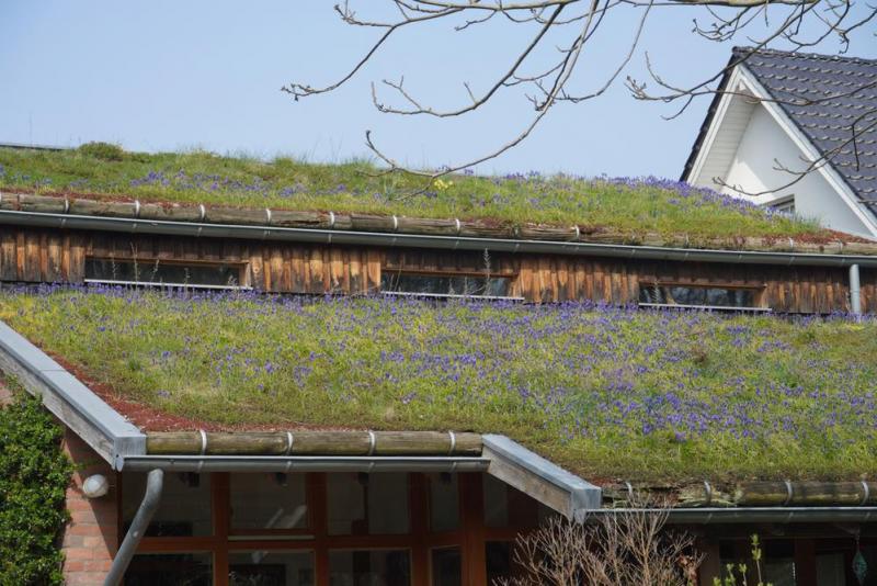 Couverture de toiture &eacute;cologique, quels avantages pour votre habitat